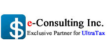 e_consulting_banner_small_blue